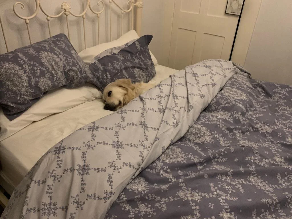 5756EE88-A4CC-4440-9714-83D80A3E4ECF