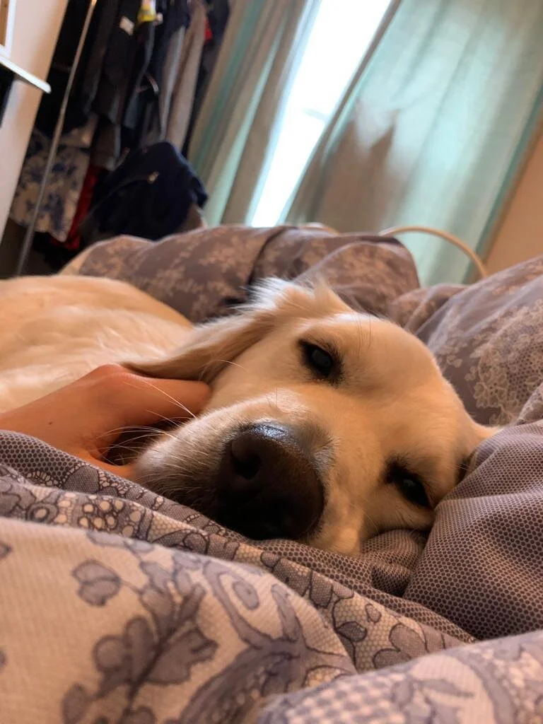 FCF02EC7-5530-4237-BA07-774DCCED706D