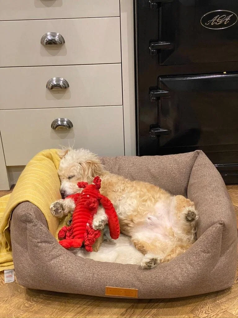 82745303-3839-4D18-BF78-C02A078F9F6A