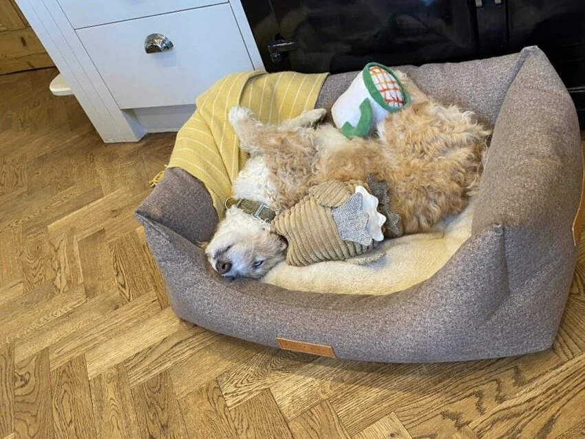 12E3AE41-4D48-423A-A535-CE796B048EC0