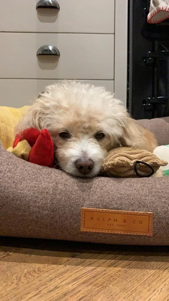 1456D5B1-7E1C-4ACB-84A7-99B8C9527C67