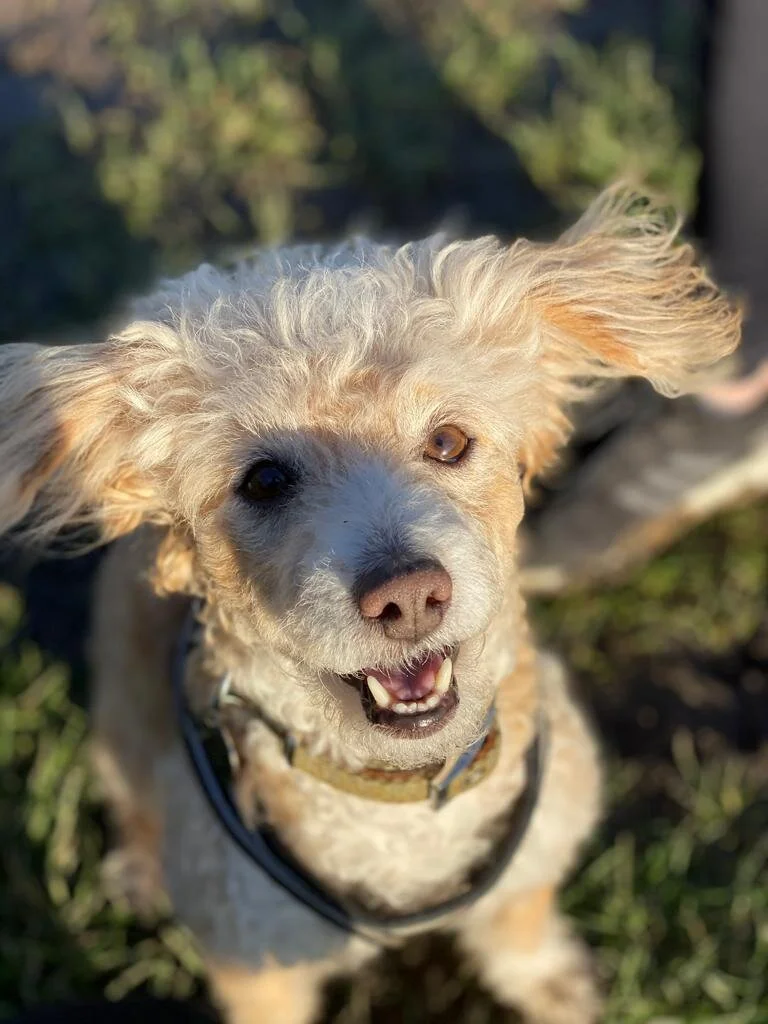 96E4E17A-9A6F-4A73-8945-FC9BAFD6B38C