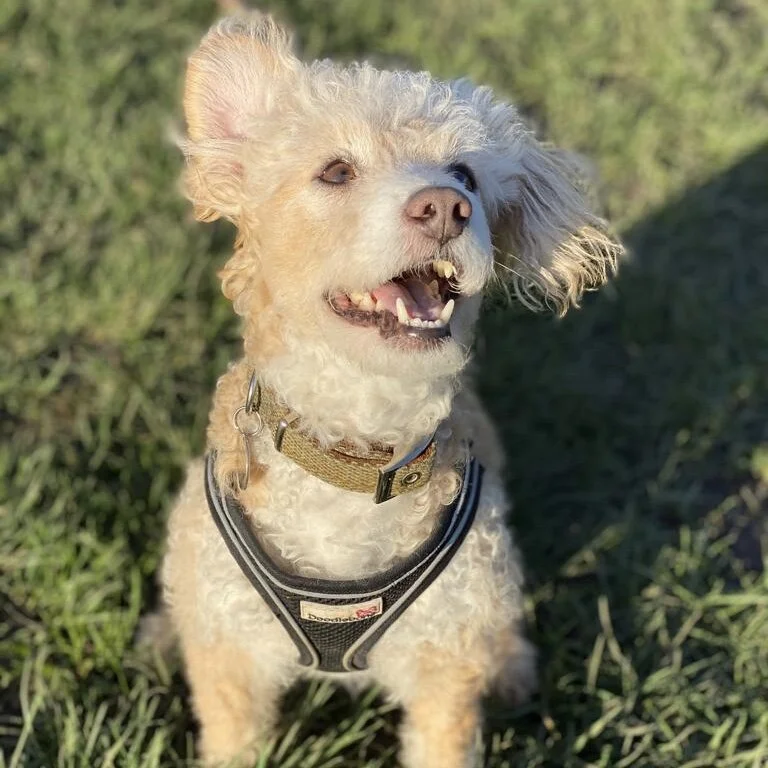 DF679B3E-9FD6-404F-966E-A31ED217634D