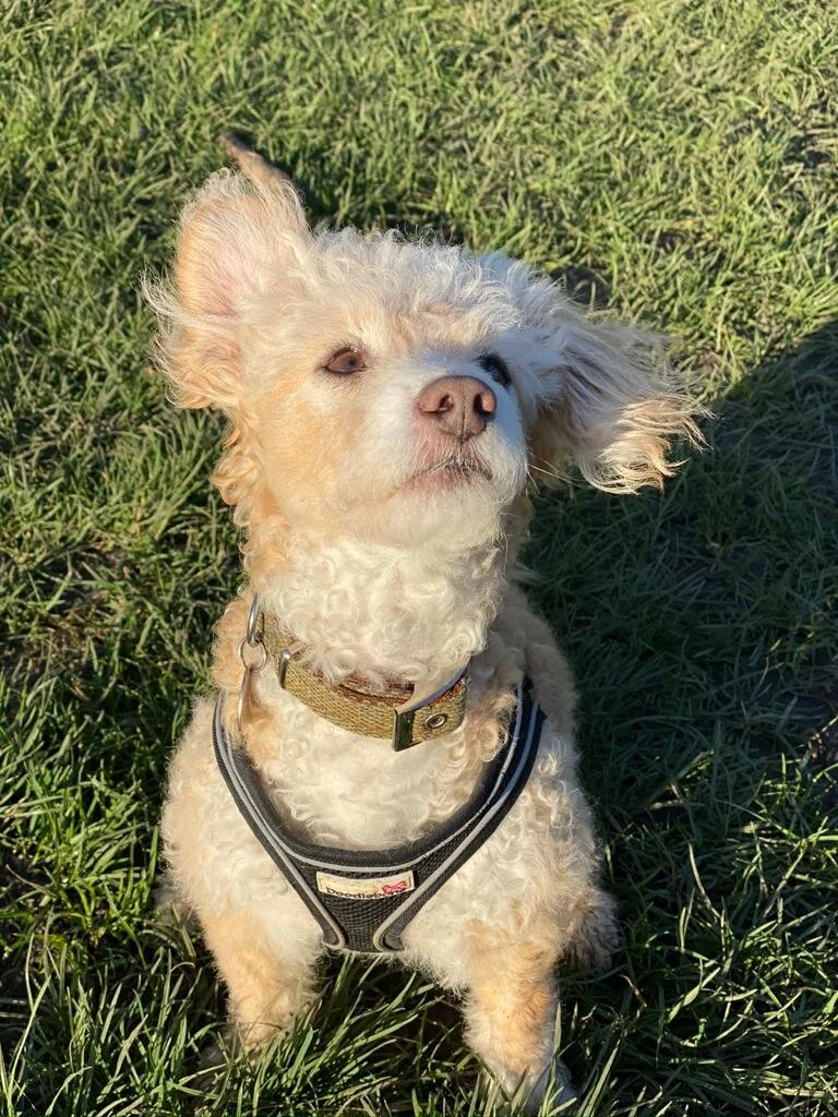 31D5DD1D-F3C8-4FE1-B99C-AA7A6AF0C2E4