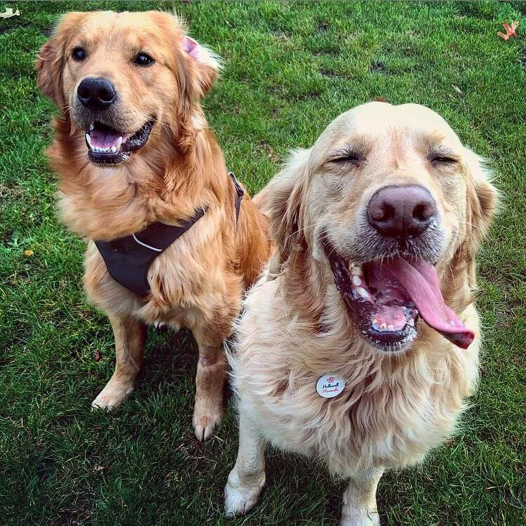 C28C91E0-3B43-4CD2-9197-DE11C65D0E21