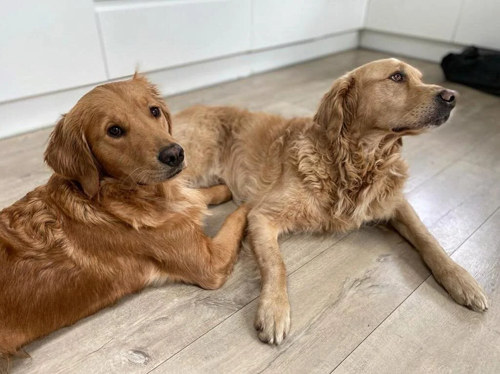 0443E956-AAF0-4C68-A6FD-78B77E10F3C0