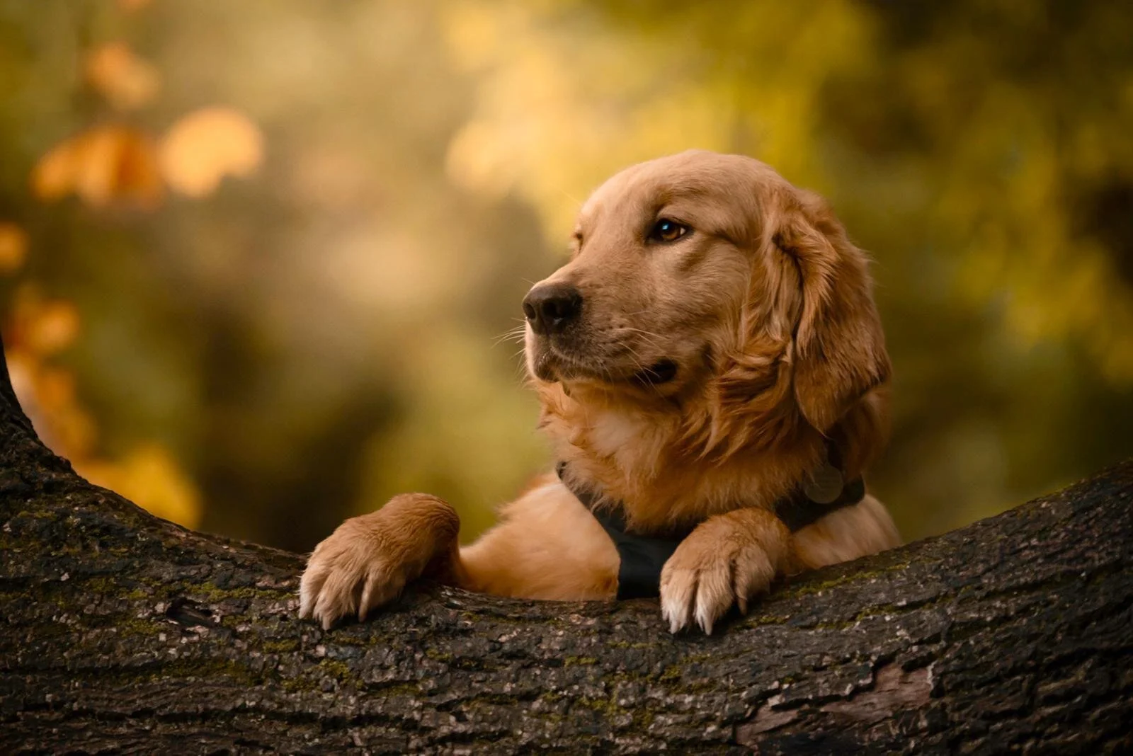 4FA8903D-EA3C-4469-9917-07C4B4A2D158