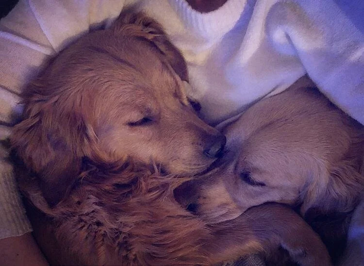 18F75FE8-CCB8-4458-AA1D-C89F248C4B3B