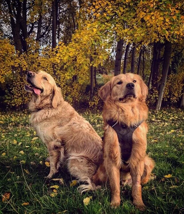 E5ADBE19-E6B9-4A26-B4D5-C4BAA008960D