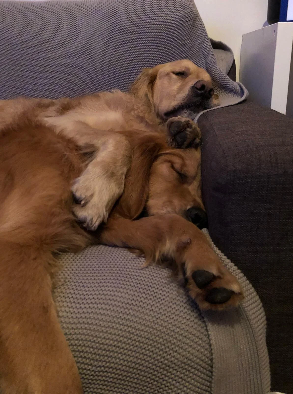 AA0B6F49-9A91-415F-89CC-0D47A02B19FC