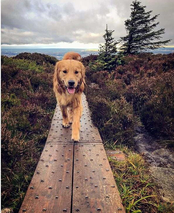 31D2F98D-A29C-482E-ACB7-498A8D9C69E0