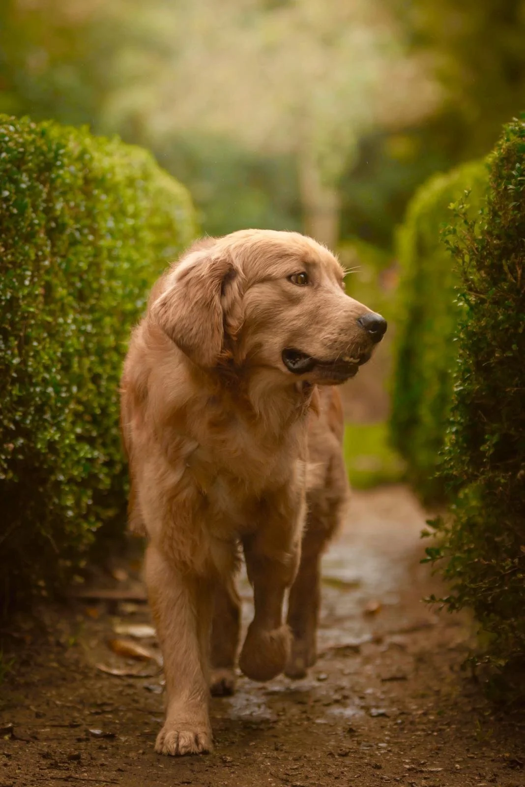 74B28F8D-BD27-4F99-B30A-F6A9A063F122