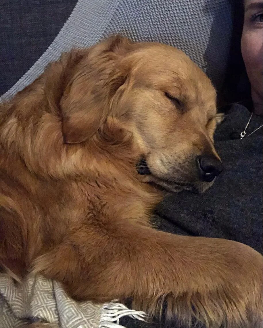 A06617B8-E516-41F4-AE6F-AD9E53EFB0EB