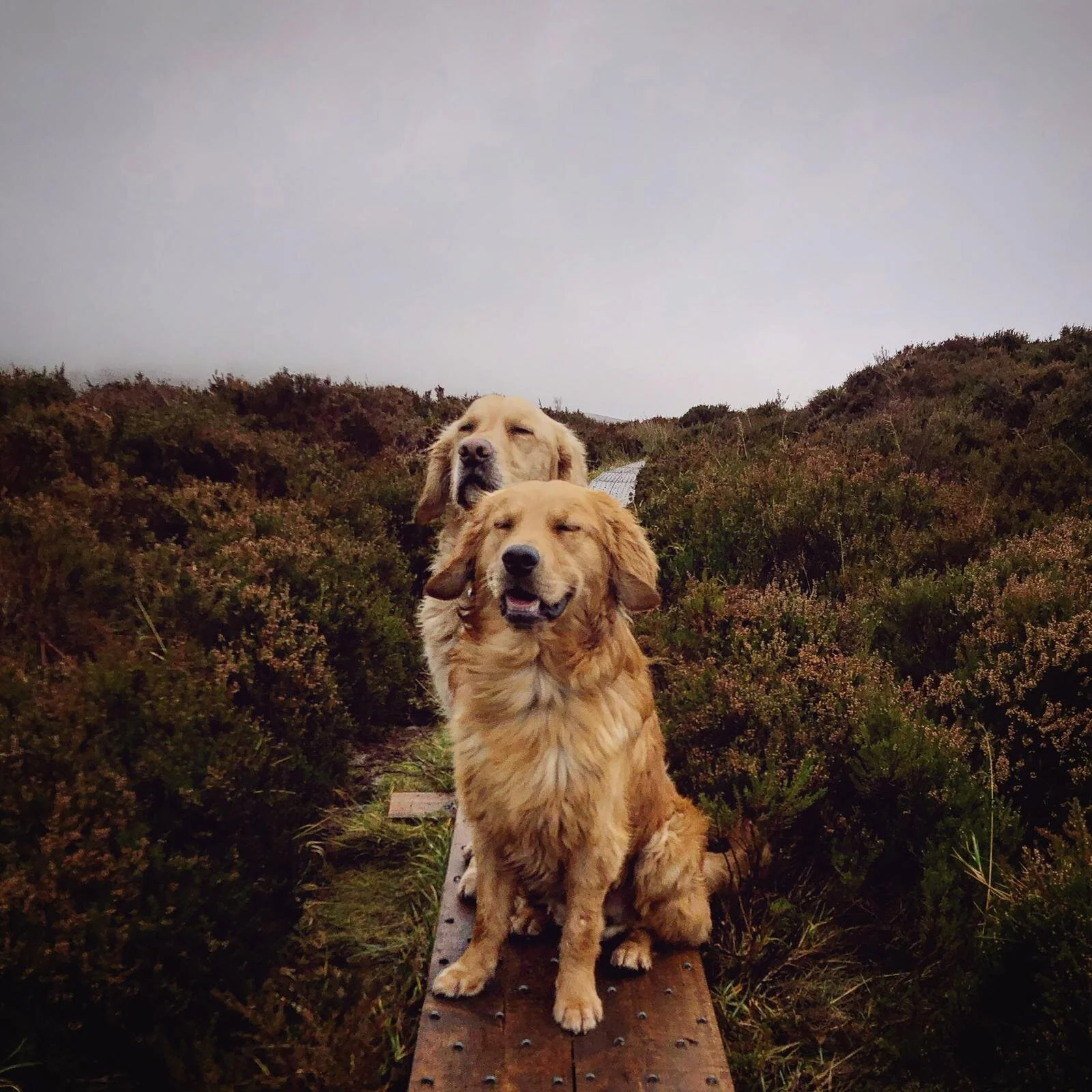 B27364D0-798A-4862-8D21-131445BFBAFD