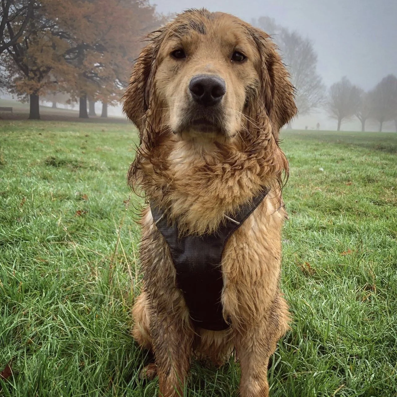 6DCB52A6-A7FB-47F5-BC82-948483E91EE4