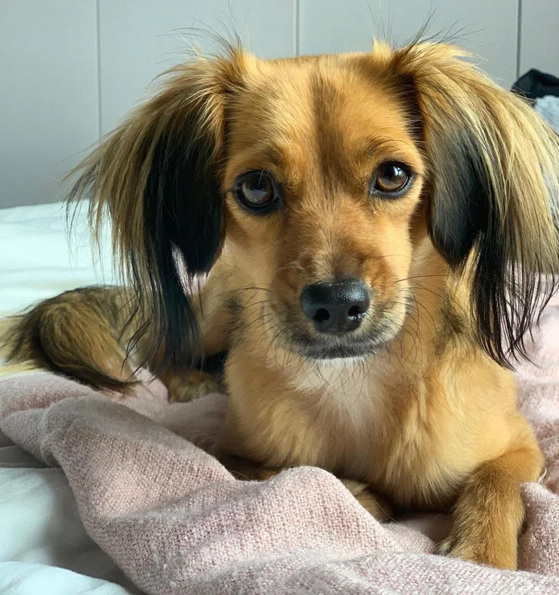 6A15AE8F-76D3-44E2-BA44-03CB7FAAC73F