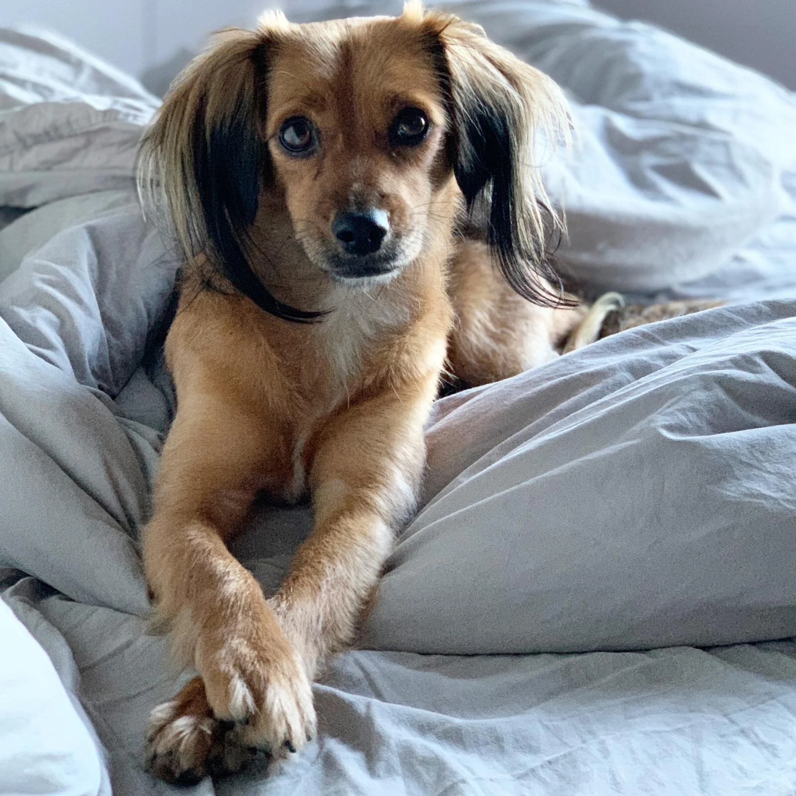 29E8DBB2-77CB-4A91-A897-445244F31ED6