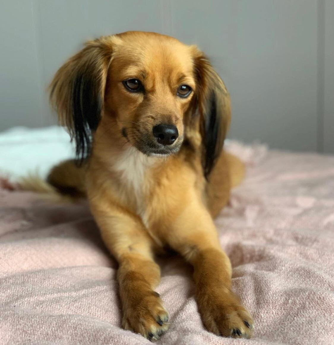 8D5E41D2-A44A-4AB3-9032-6B7136801AAF