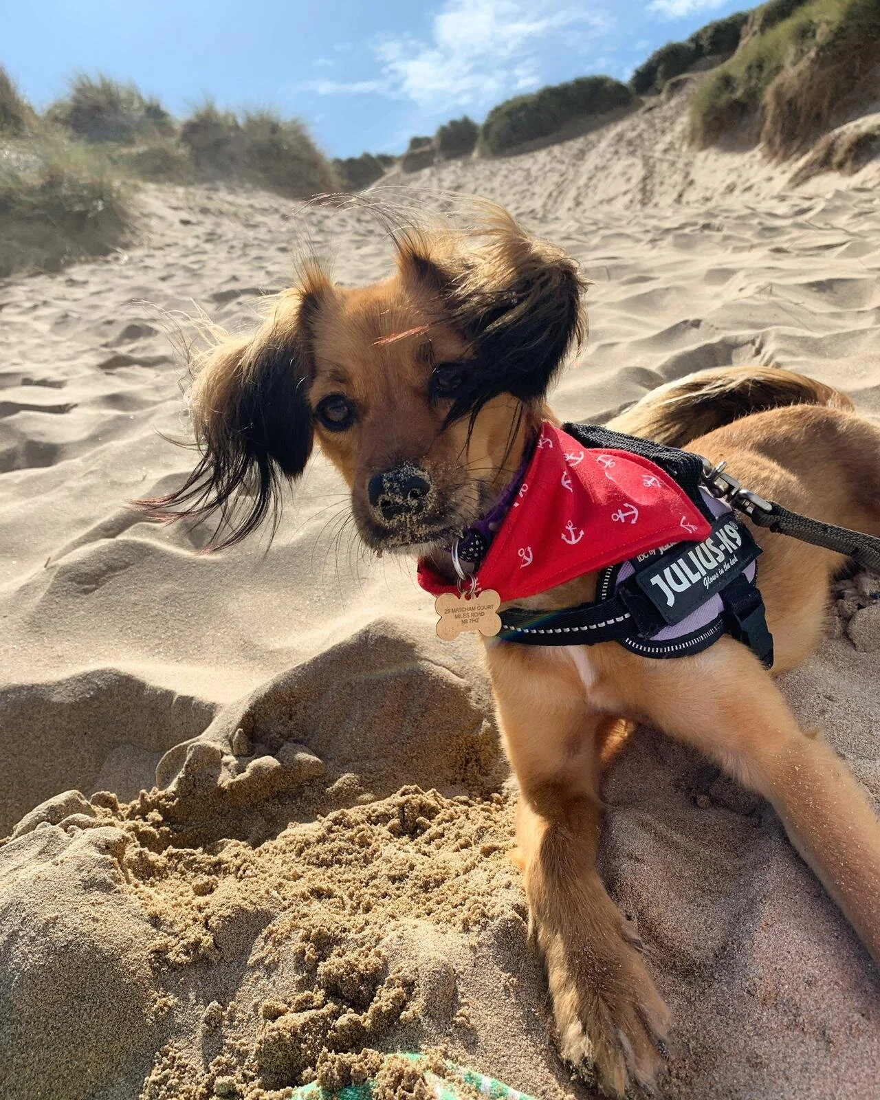 BD90F646-A8A9-4CC7-803C-E87D0B79C35C