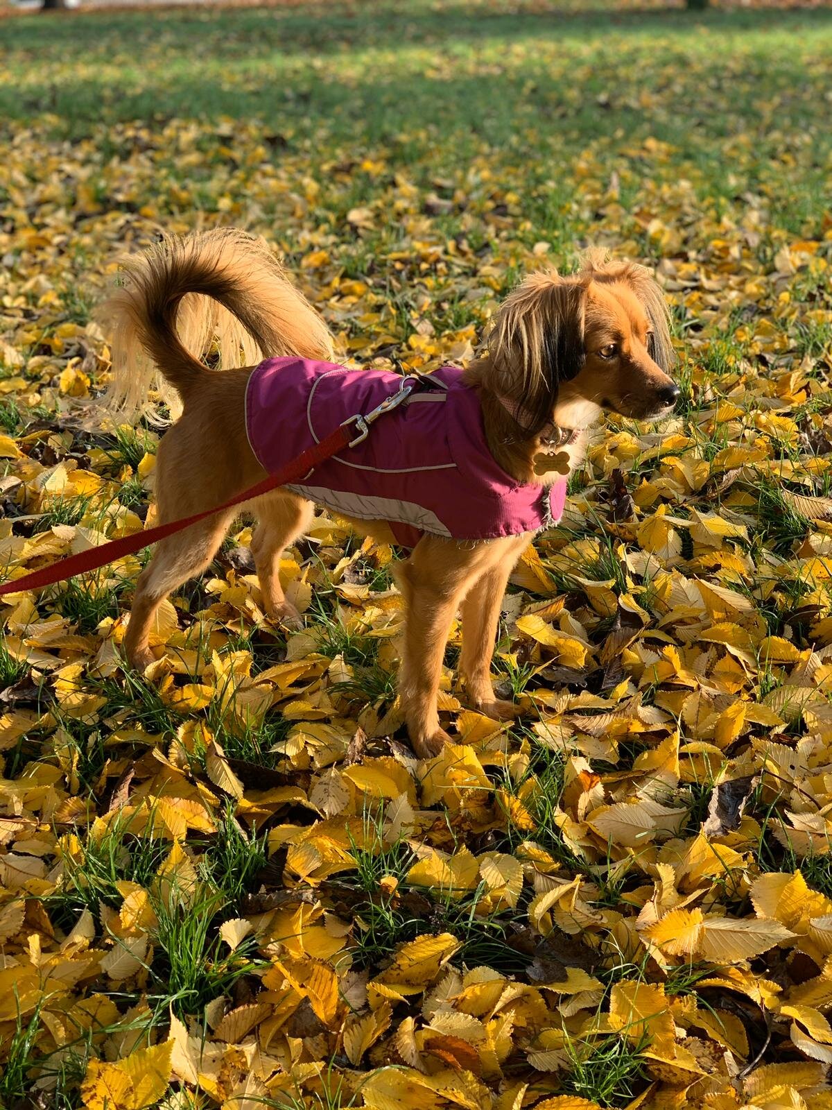 893E9B8F-A209-4DA2-A4A5-340CC18FD1E9