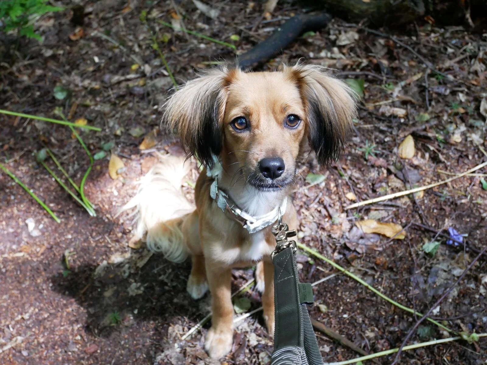 885EC5F4-014A-461C-9C2D-A5BDBFBF0BF4