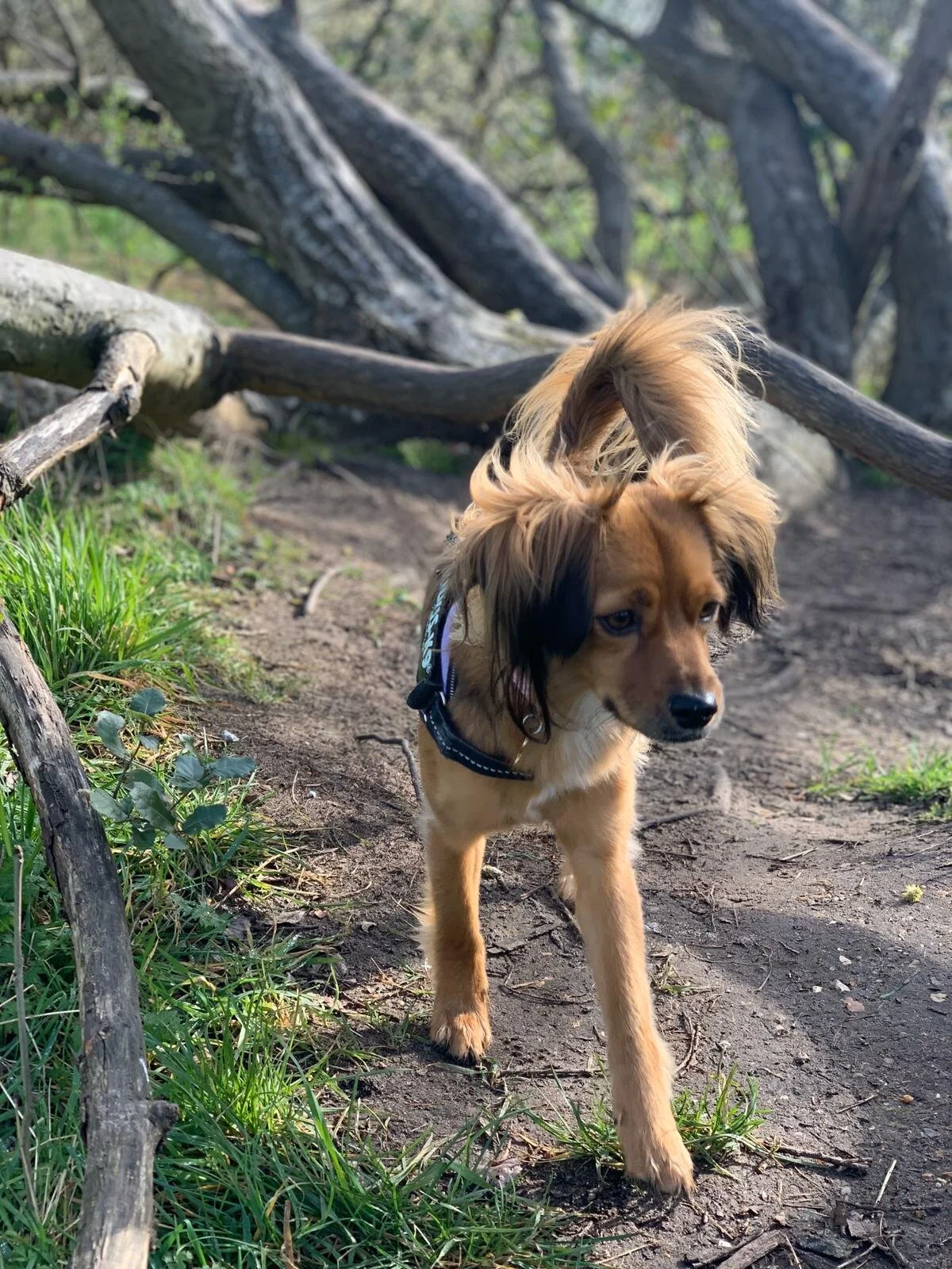 EECDE356-4C9A-4124-BD47-9A49DD23B046