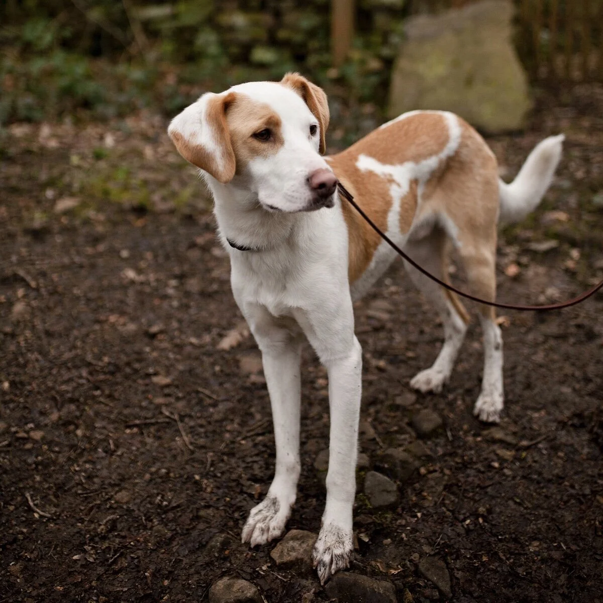 150F1B59-4005-42E0-9C49-36144FAAC5A3