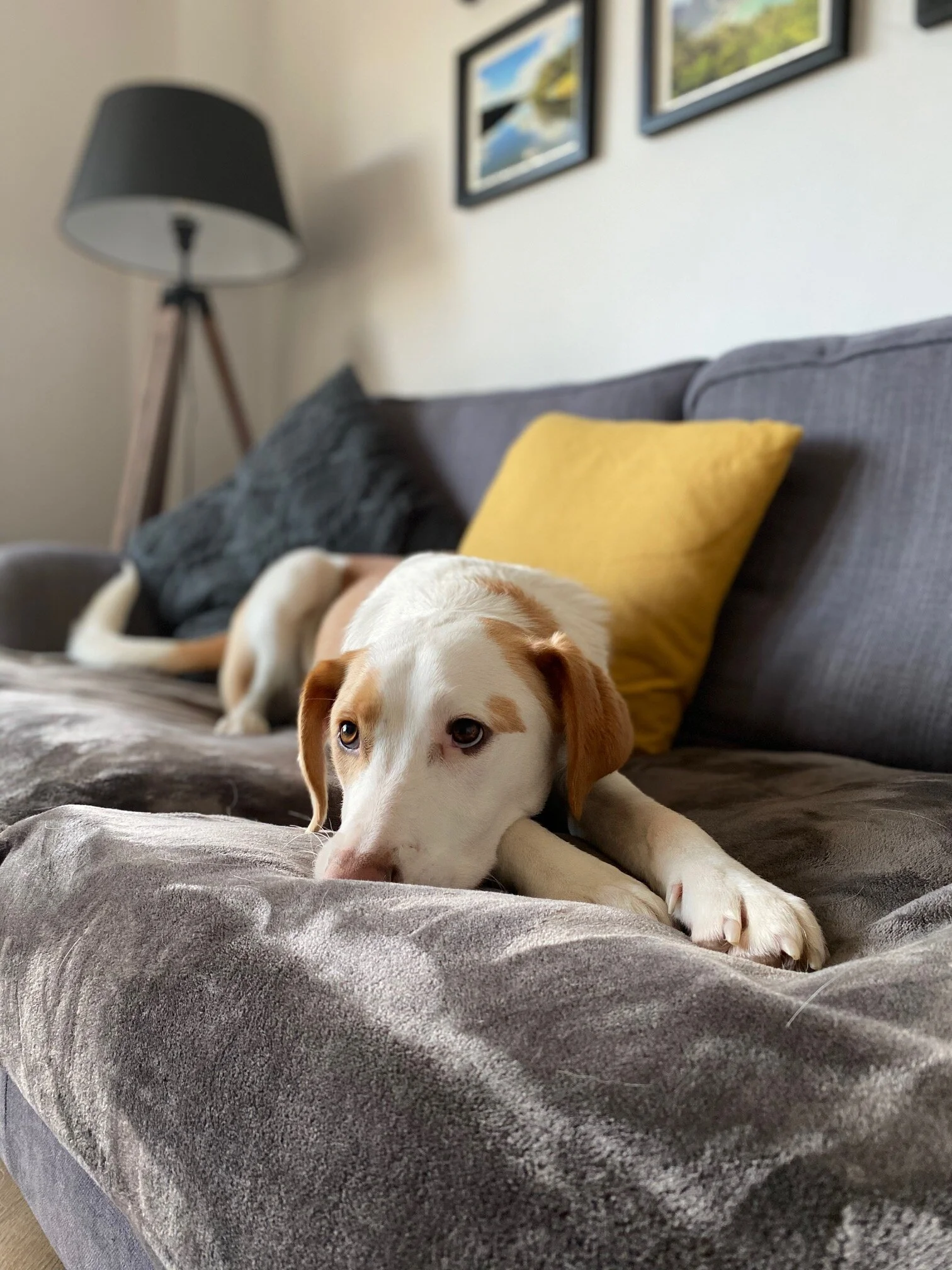 AE59CF35-C25F-49DC-BDC3-ADA05FE9385F