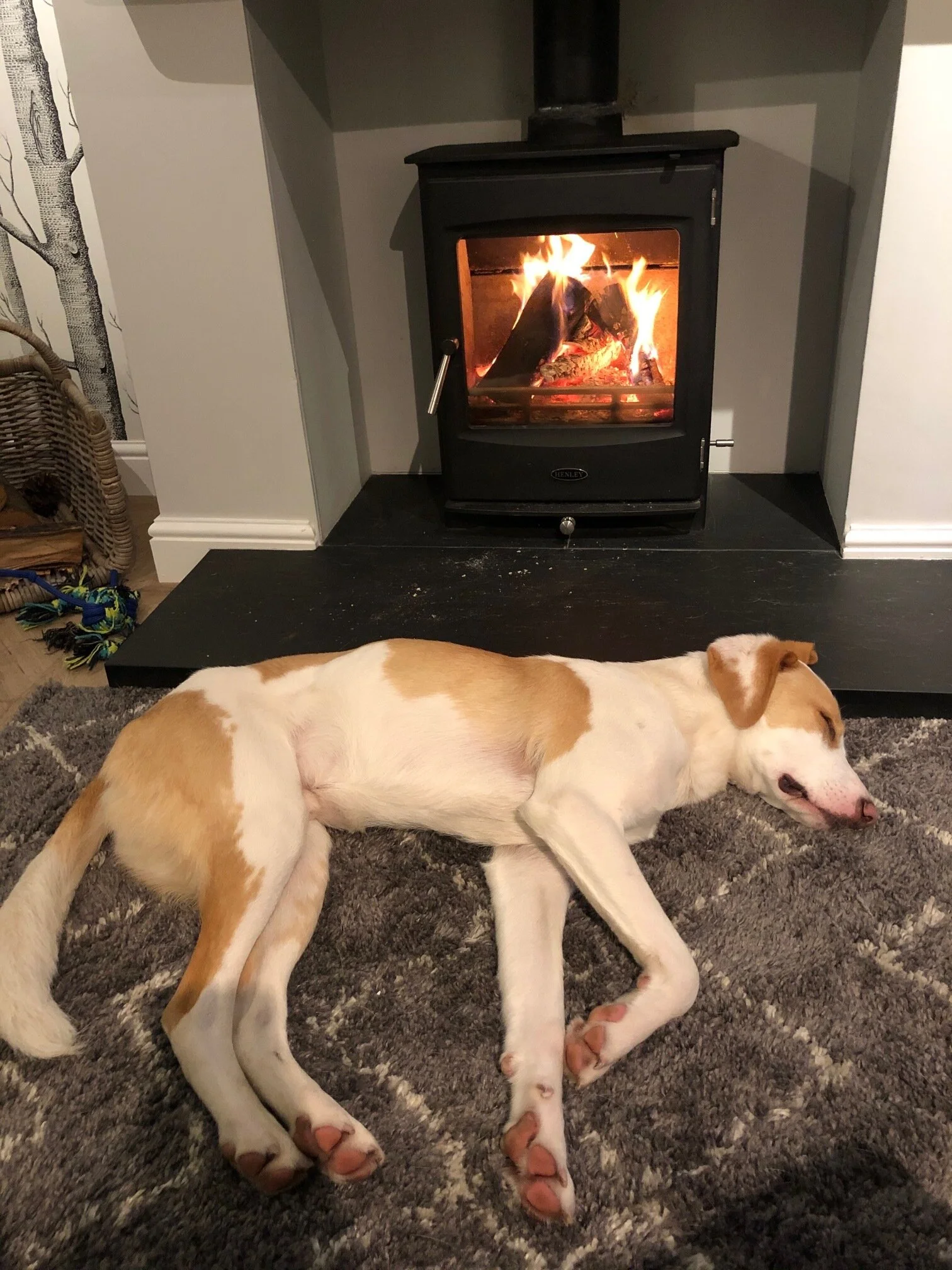 AF20B91D-B427-46F9-8ED5-D1462C743F4D