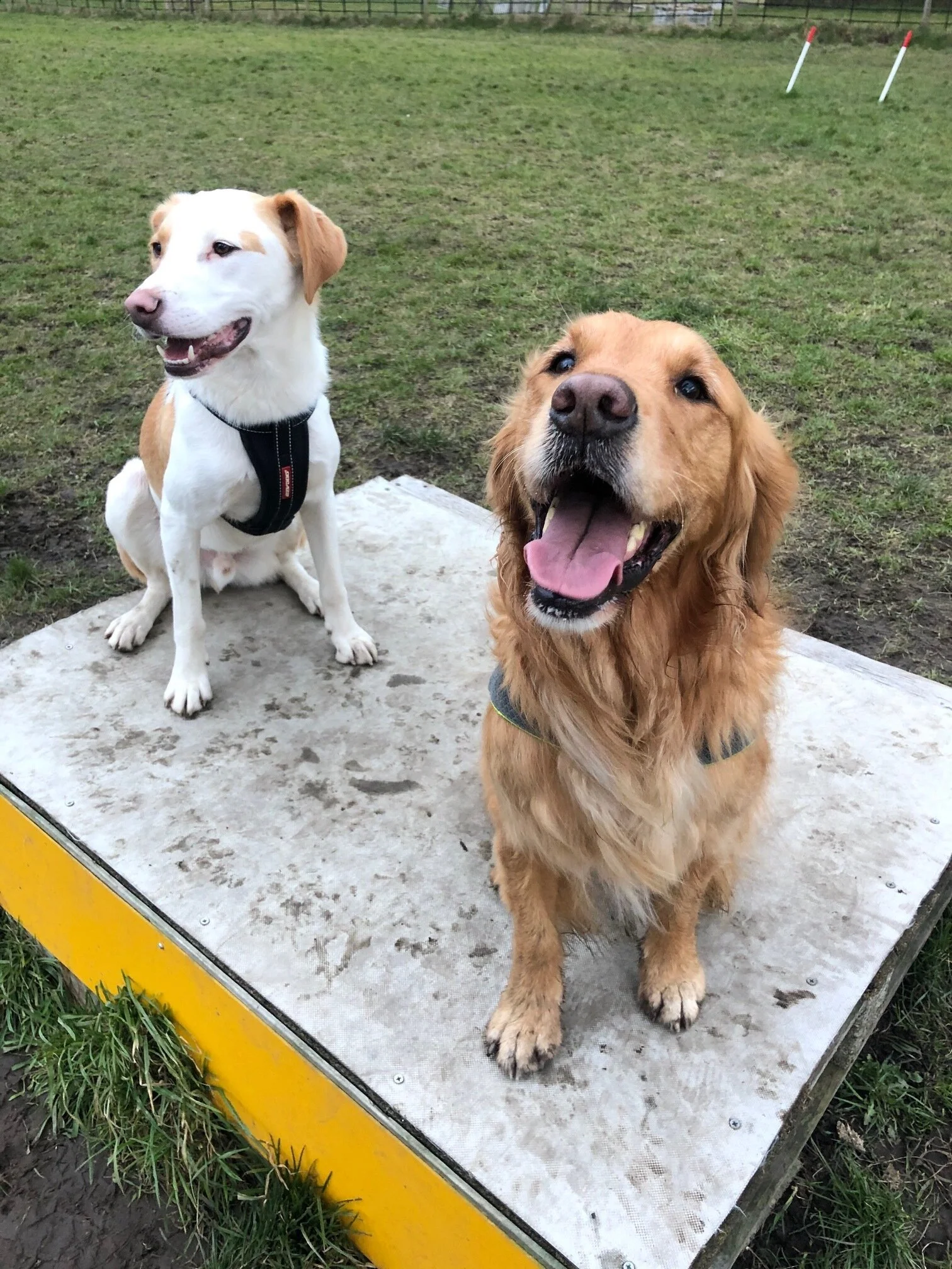 538152B9-6472-46B3-9985-4E4CB7DDBABA