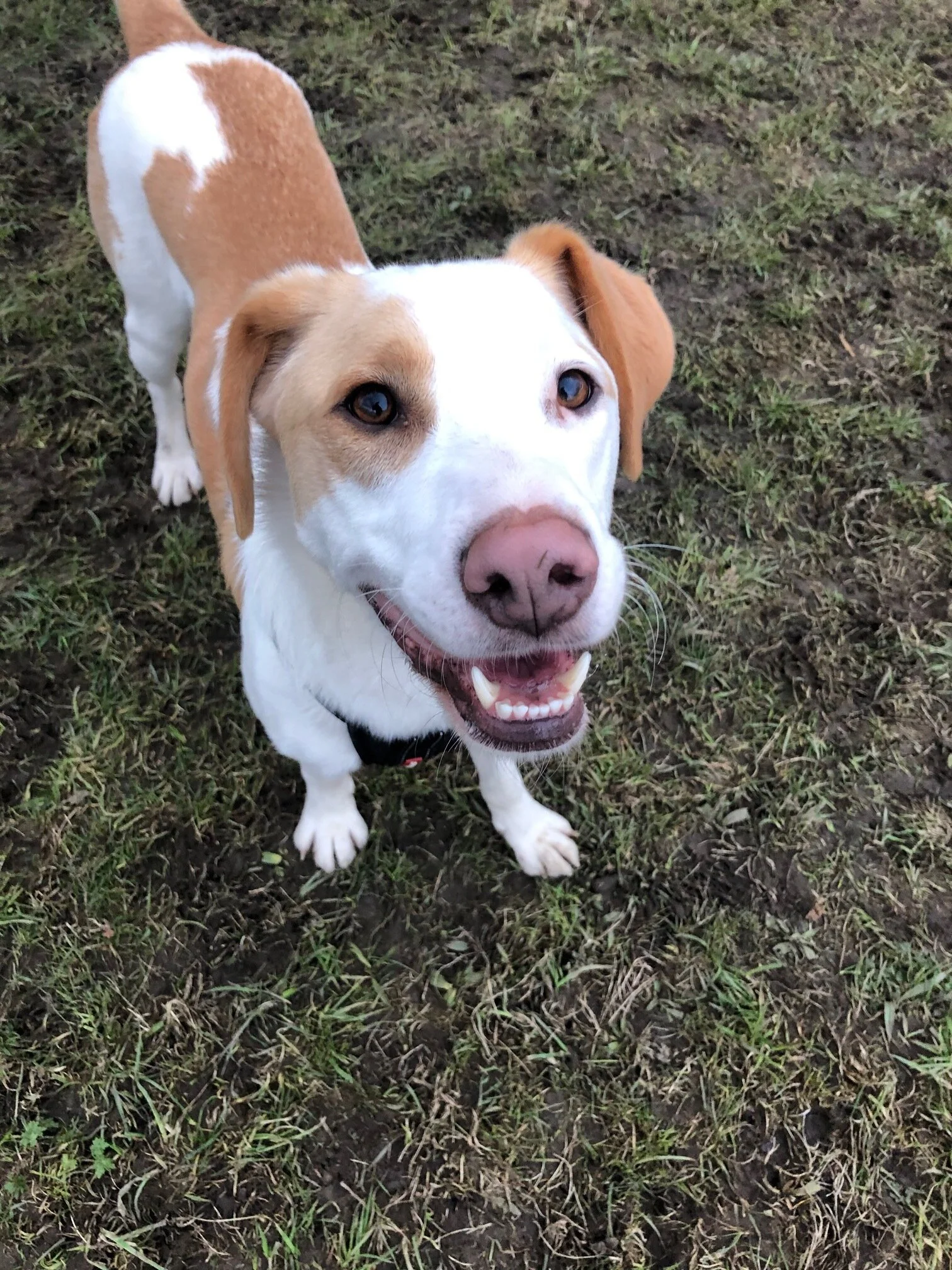 B78C1E12-D475-496D-8302-670B6A8B5147