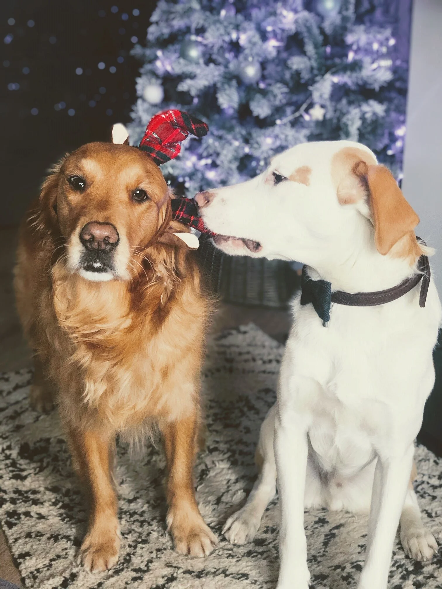 43C27843-9198-481F-A6DF-D86E0C4E04D9