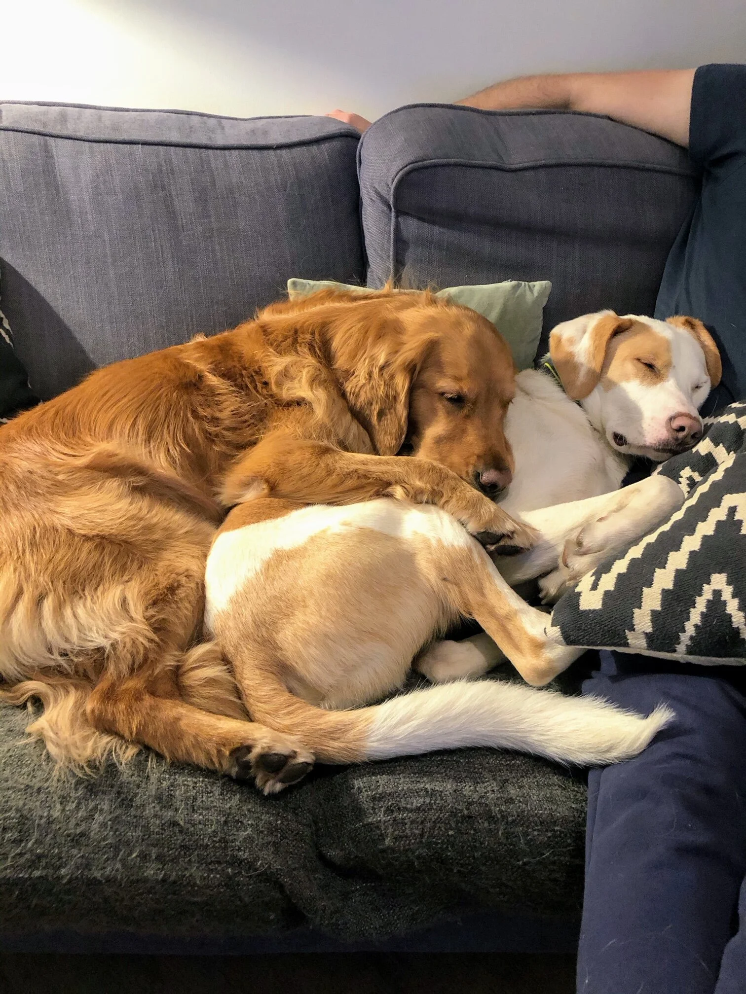 B6015EBA-3111-439B-9AC5-2A58ED089418