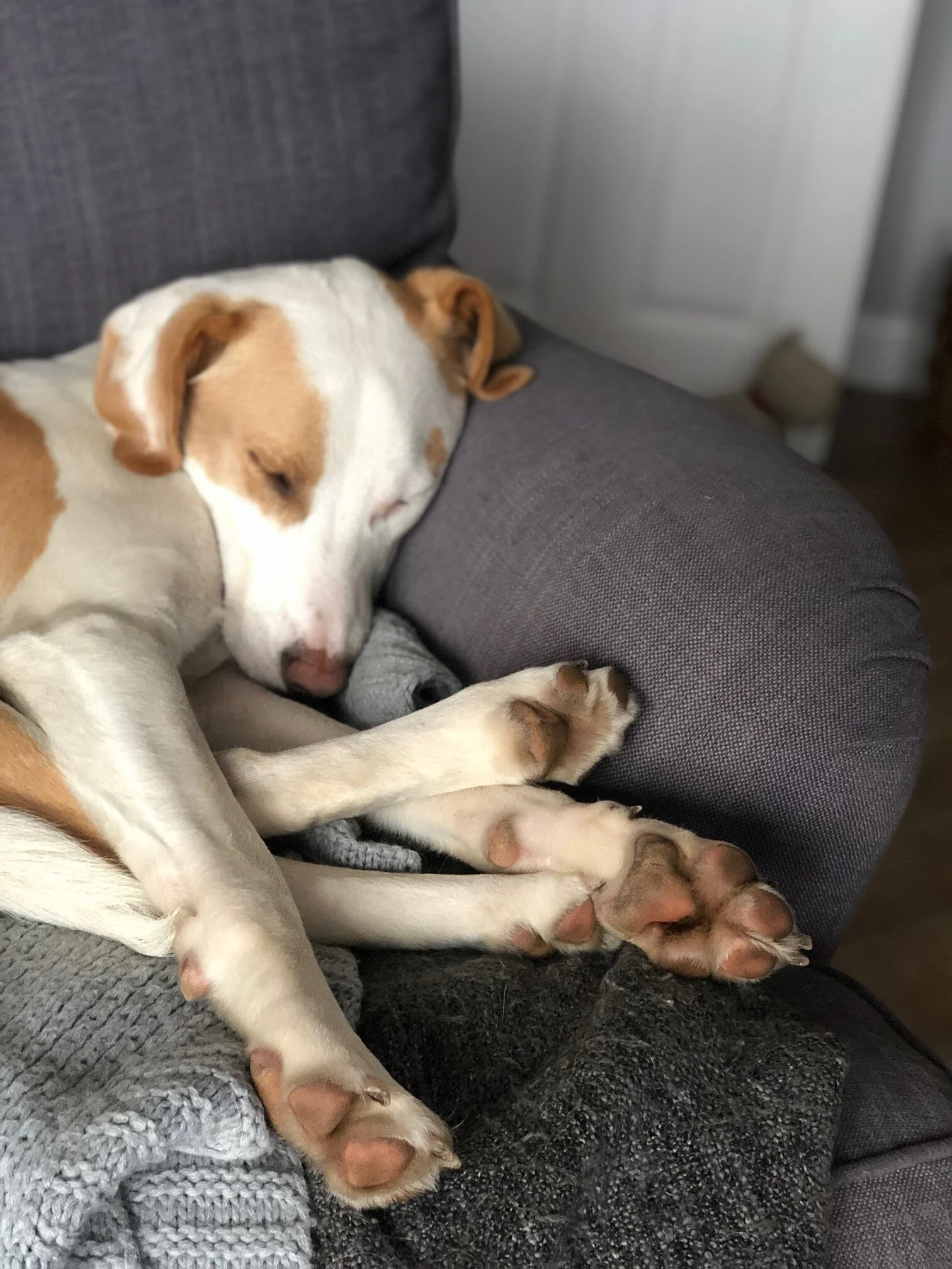 E5057353-5980-445E-9DD9-99095A2824AF