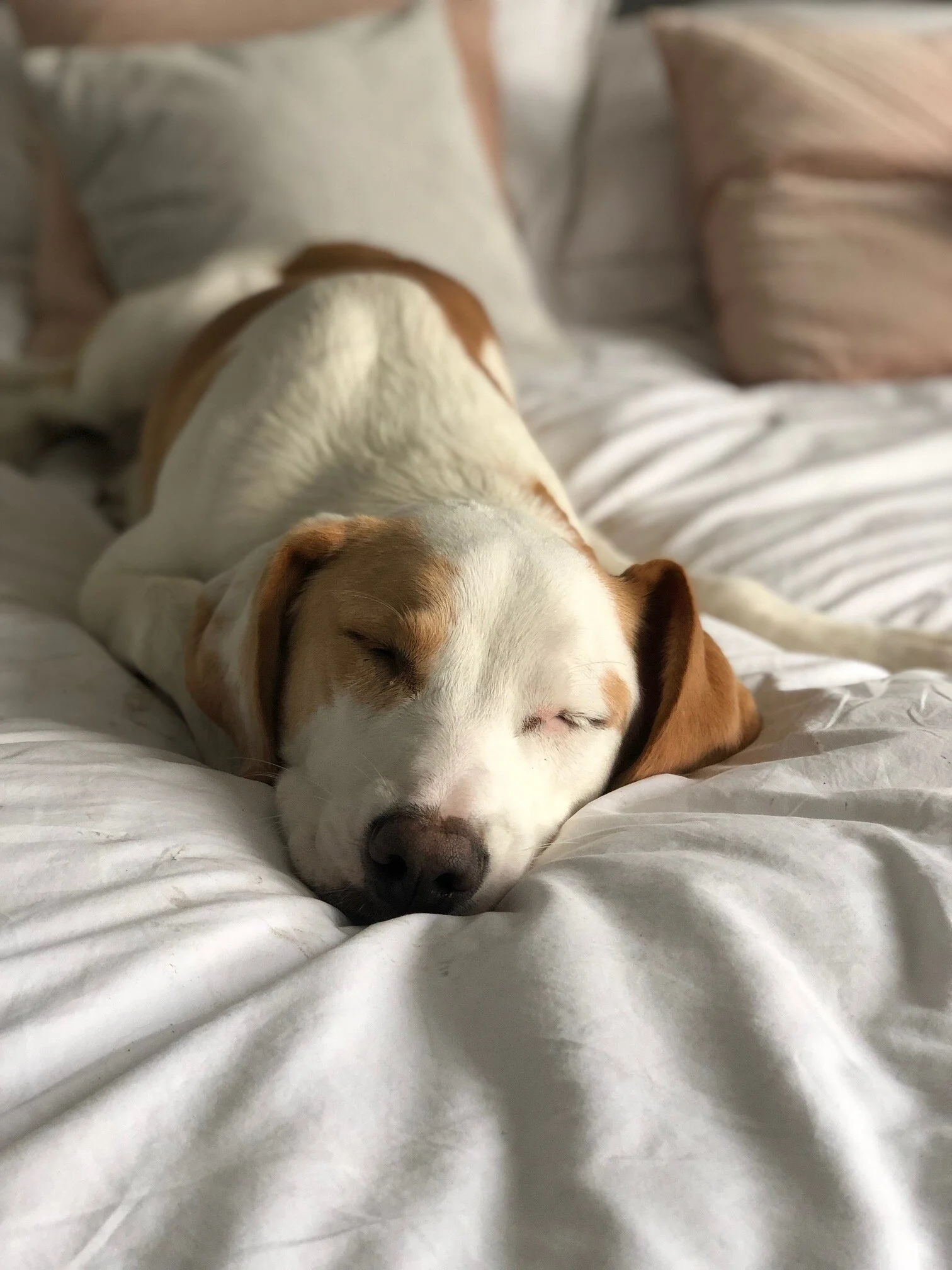 9B6F090C-0688-4F91-9814-D9FE02B5DFFA