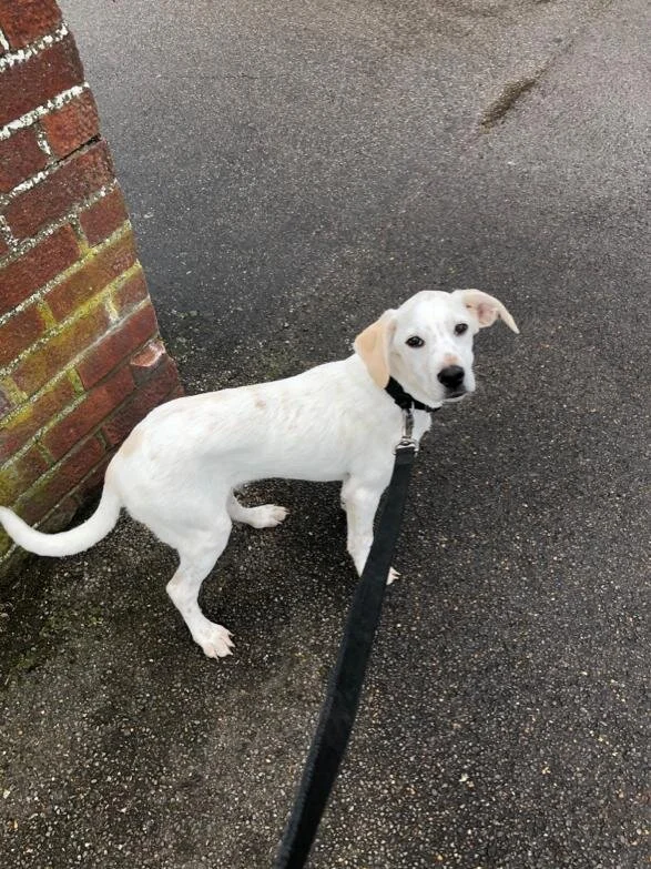 FC5C9AC6-5CBF-4C6F-A251-5AF9357B1595