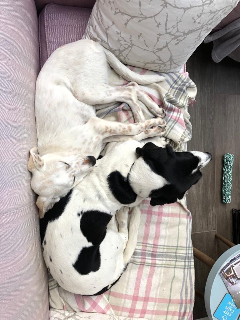 08ABEE65-AF65-4D33-A3E3-52C04E888F63