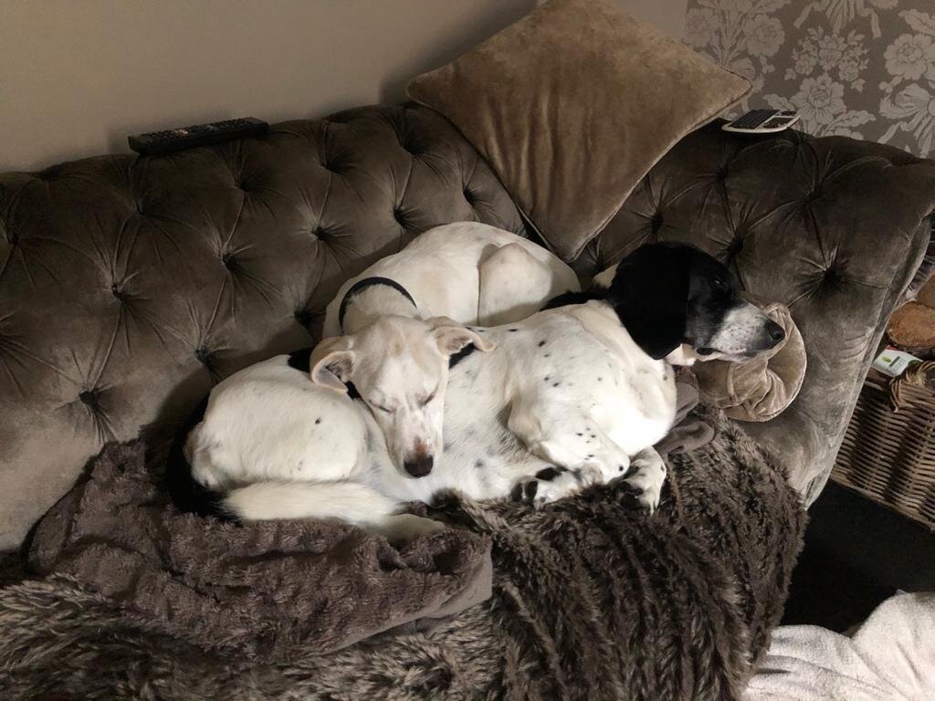 B41B70F9-7609-4715-9408-8741BD9DC7C0