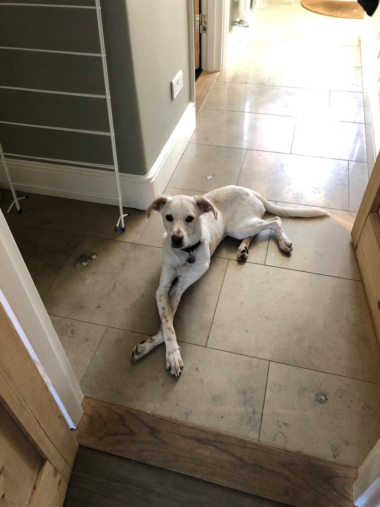 E3F5F18E-35D5-4454-82B9-AE4B91625698