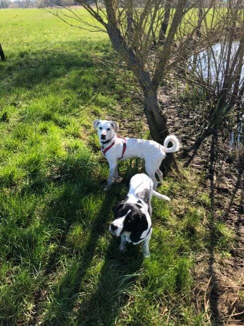 F916A494-4875-4D06-833A-B46B0FE905C2