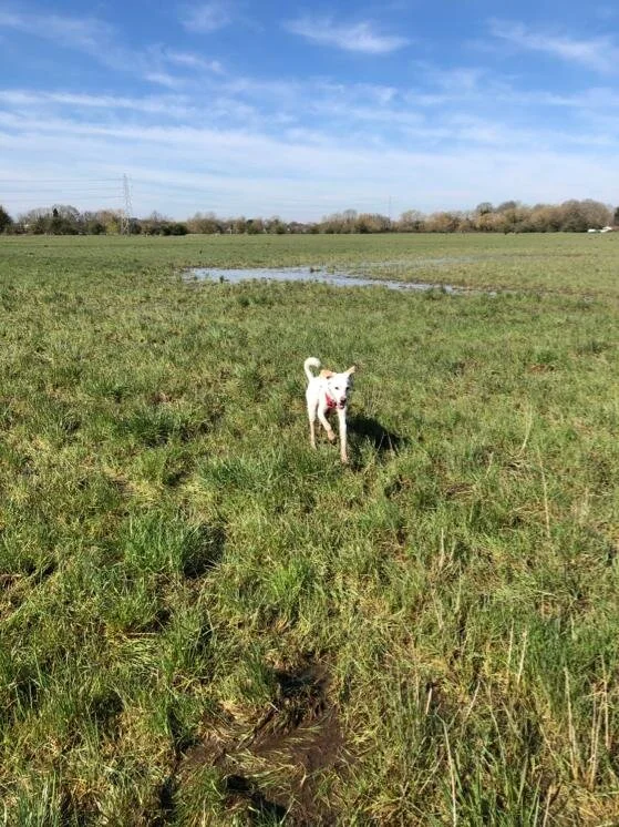 4C0CC945-5C1D-47E9-A90B-9598BB045855