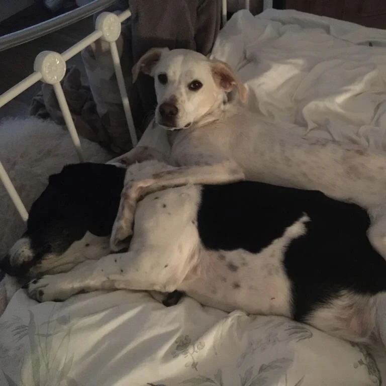 75C548D5-3D43-4D48-ACA2-7885F8D8E6CD