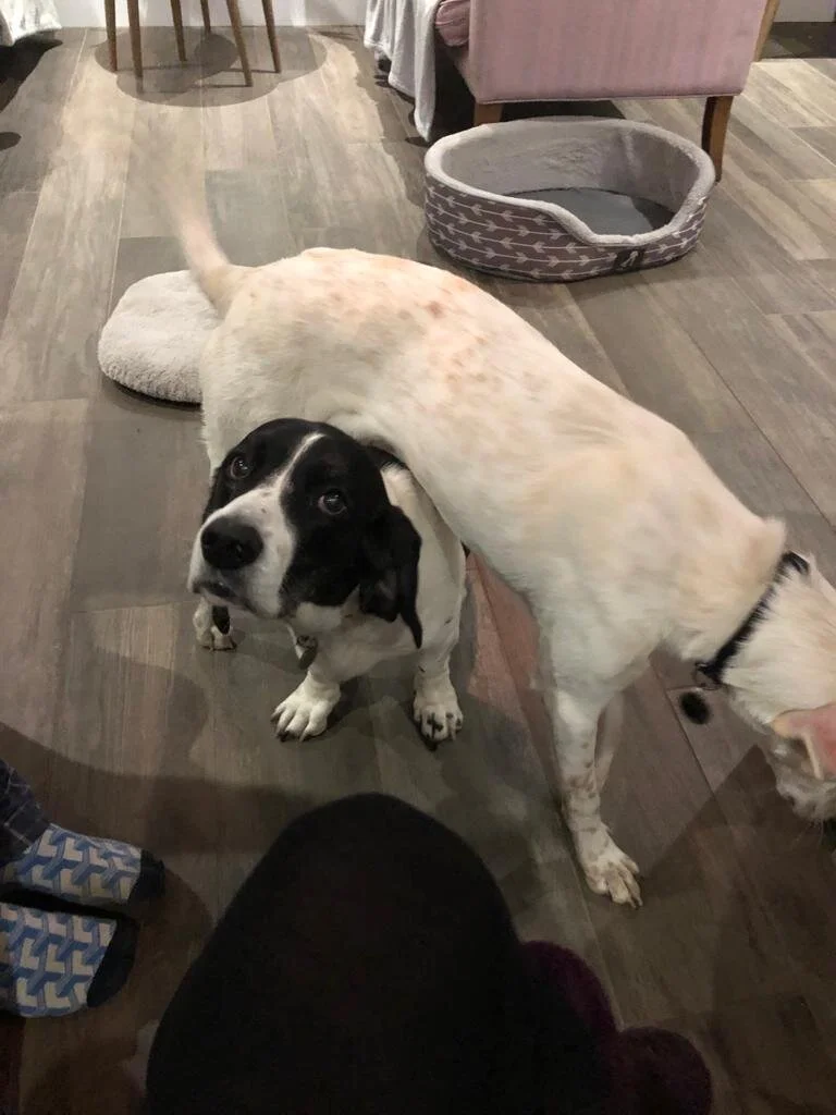 7D6D12C1-17B5-4336-975A-3837398DFEFC