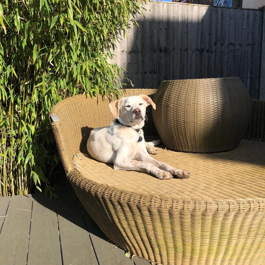 F55E8FE0-08C4-48C9-8310-23E547561DFD