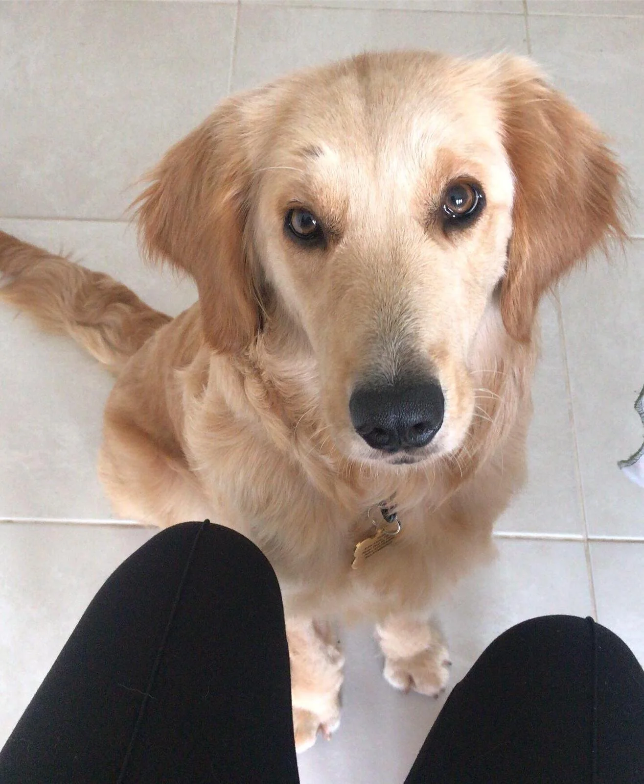 D4FC2FB8-7A66-46E2-B097-34F508B001ED