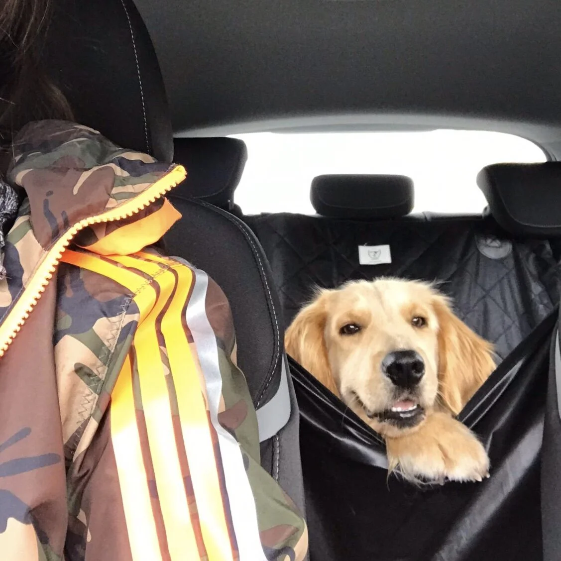 63E21EE5-0CBF-42CC-8025-6867312FD49A