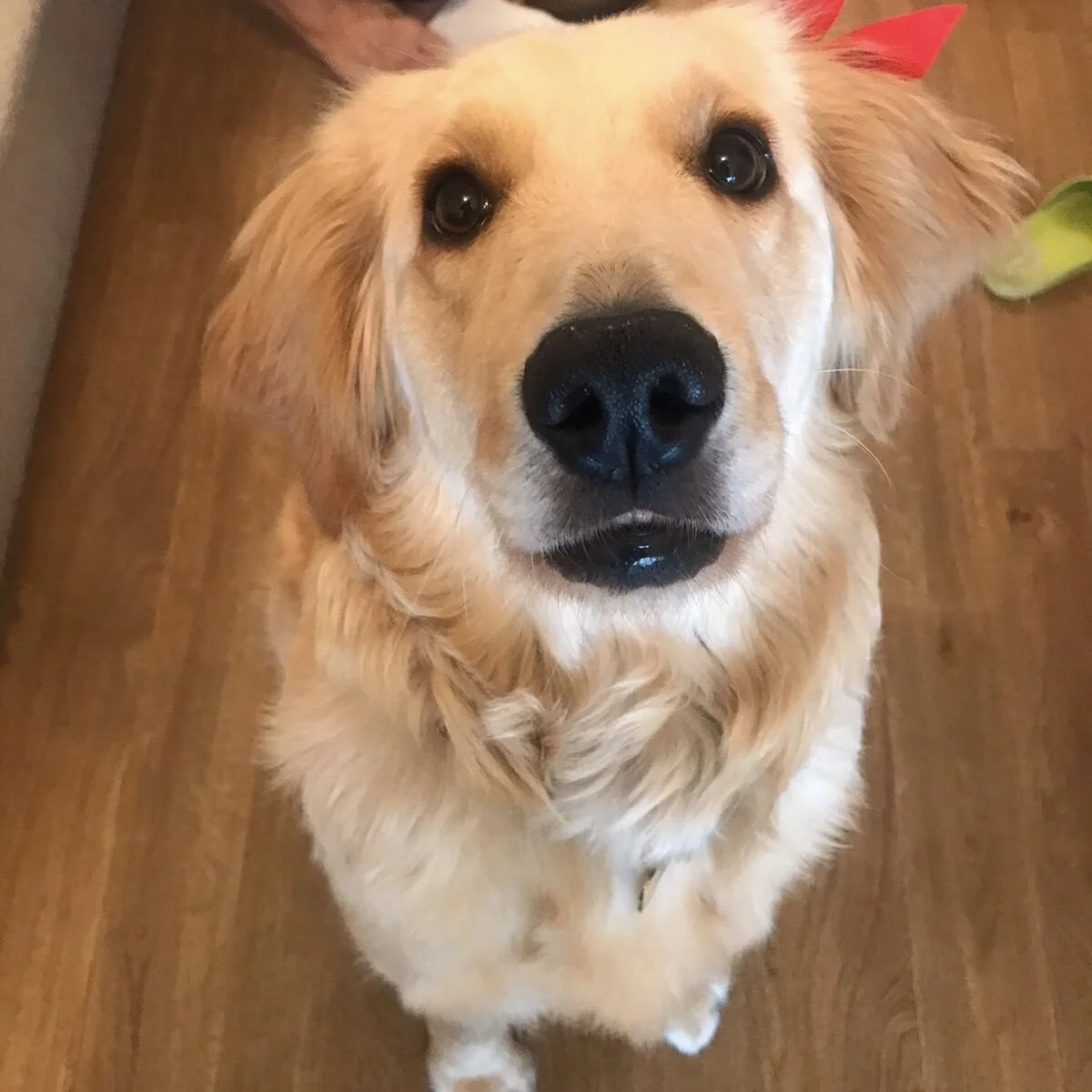 0DEF3938-904E-4E9C-89E6-6BA8A70141F4