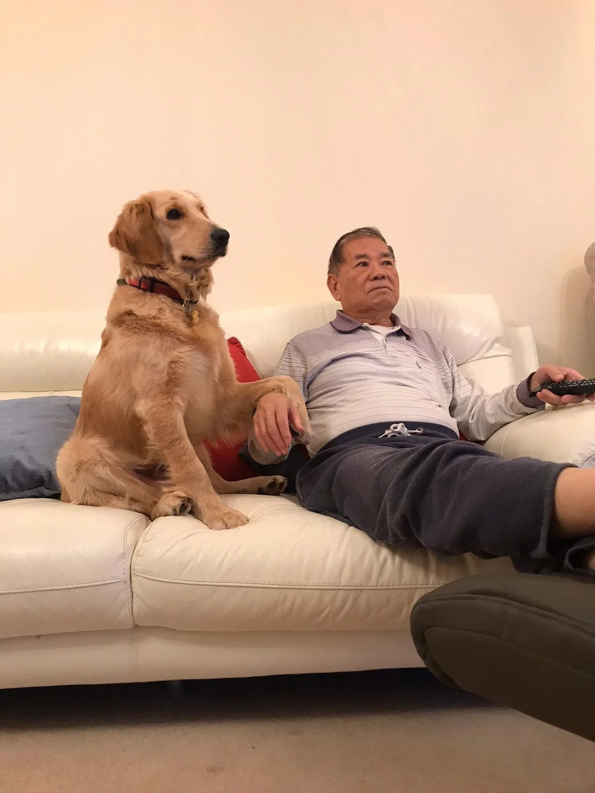 A5900F5F-5707-44D8-8230-3AC49C5D2AC1