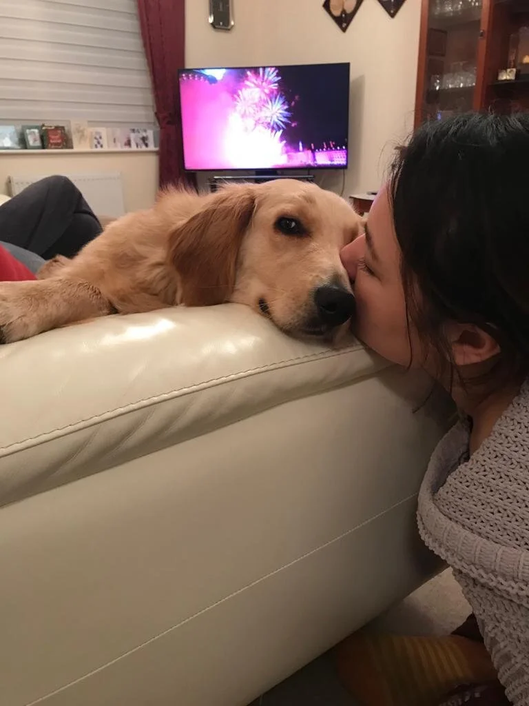 FC41C8CB-B72E-4A52-8A1A-4F6F23F9DD1B