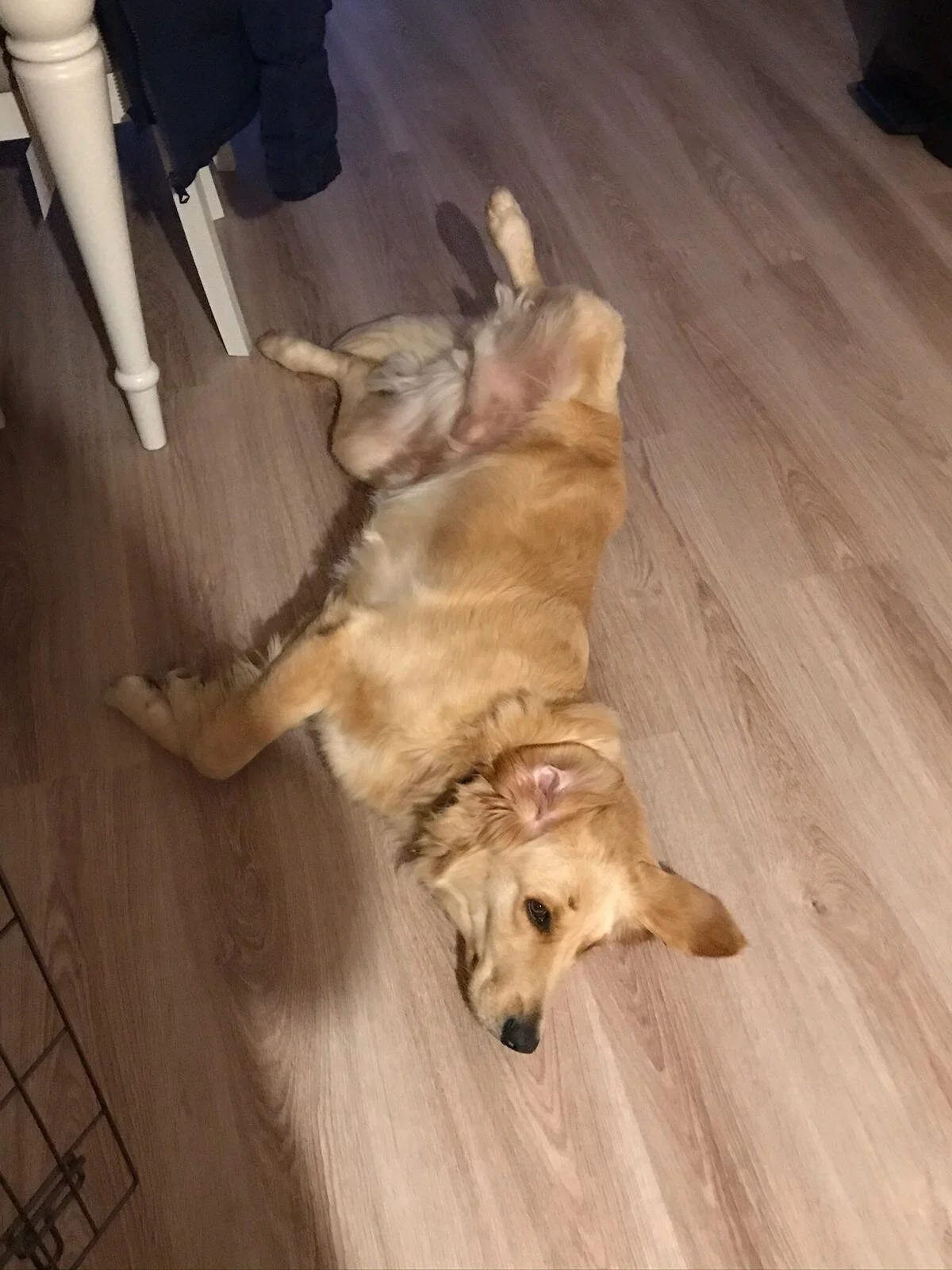 C40A41B8-2E1E-4259-B08E-3A58075F96D3